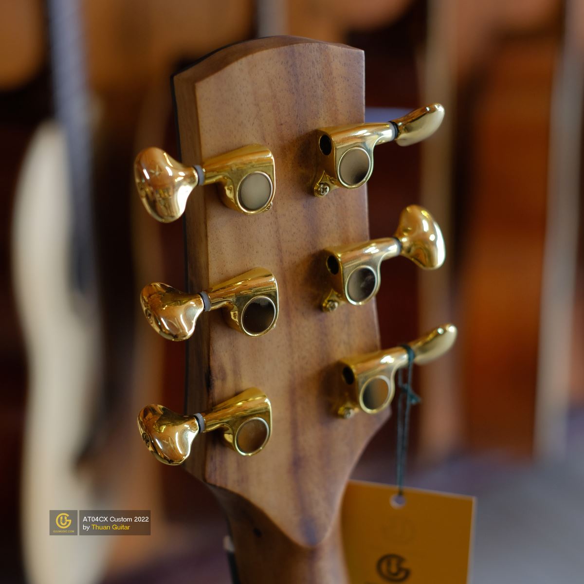 Thuận Guitar AT-04CX CUSTOM 2022
