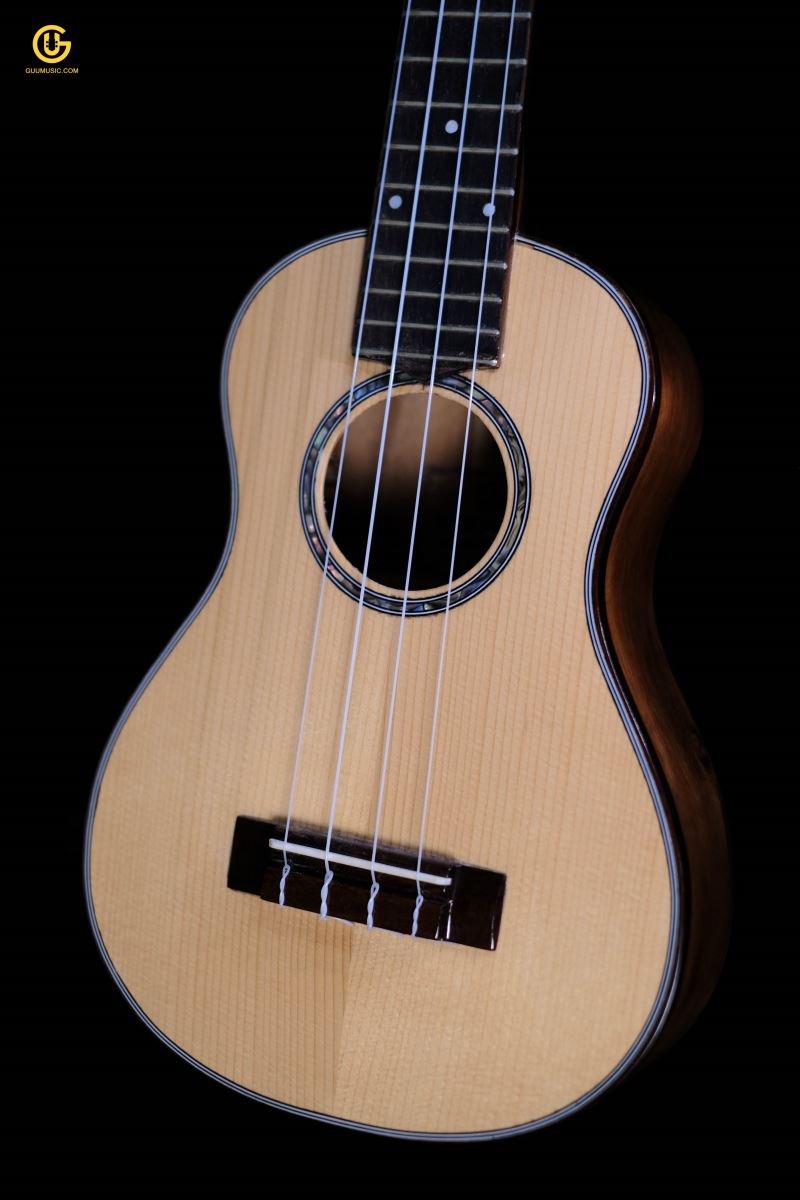UKULELE 2T