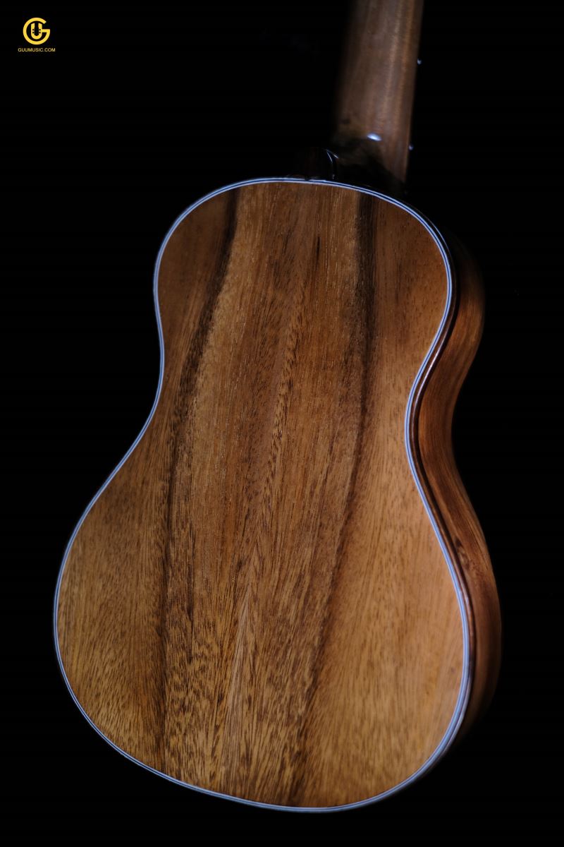 UKULELE 2T
