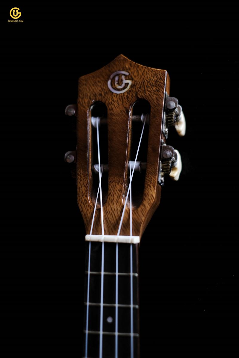 UKULELE 2T