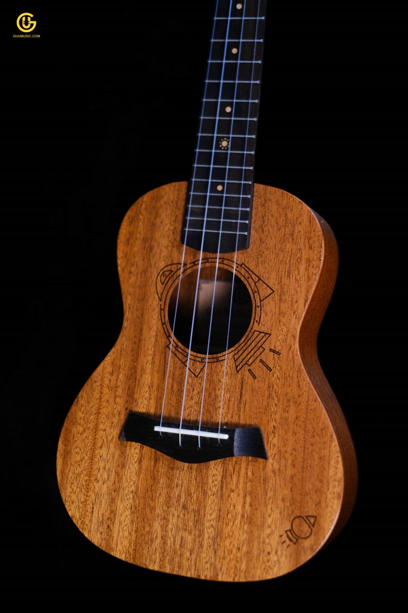 UKULELE TVT