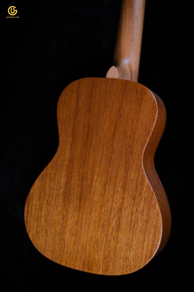 UKULELE TVT