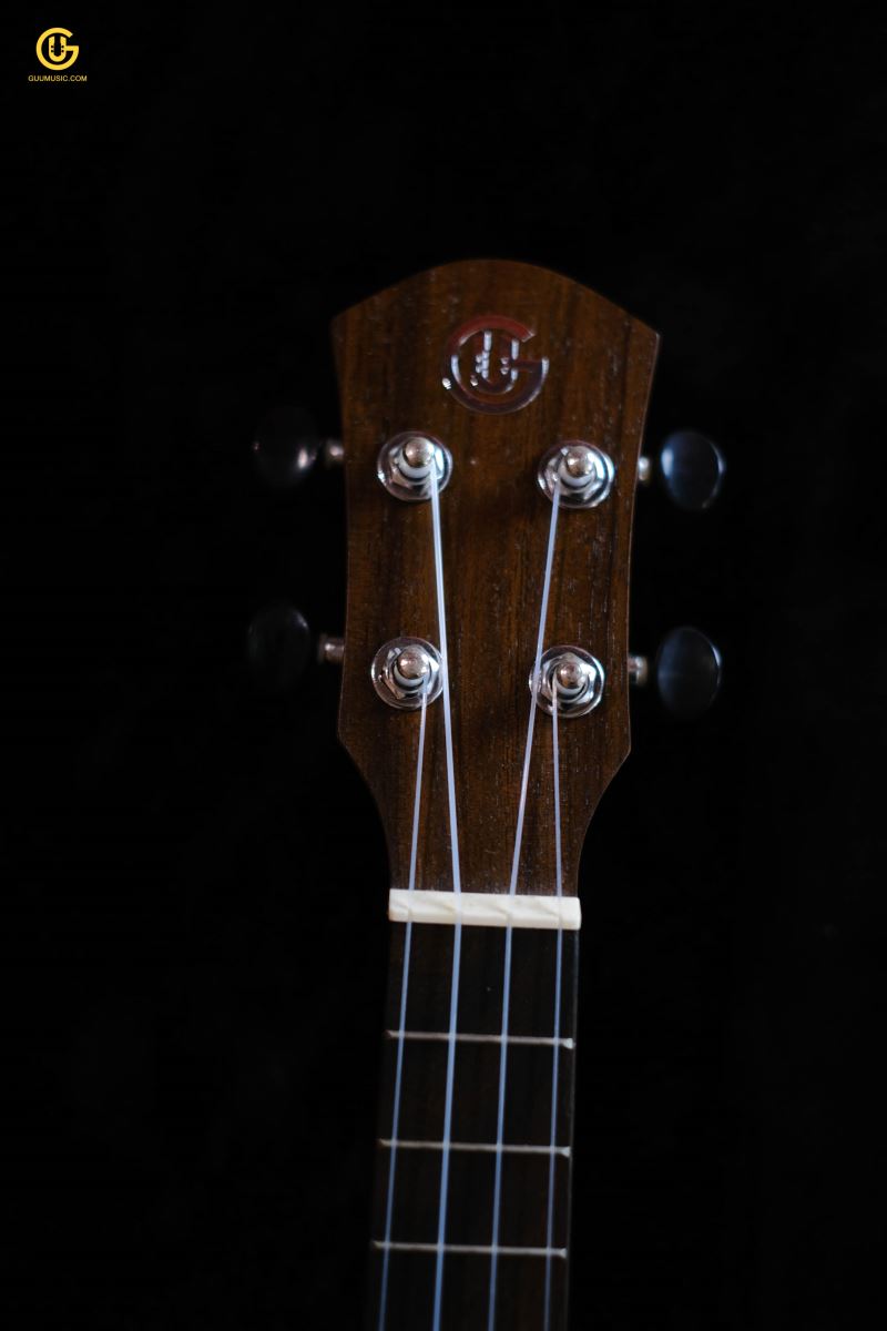 UKULELE TVT