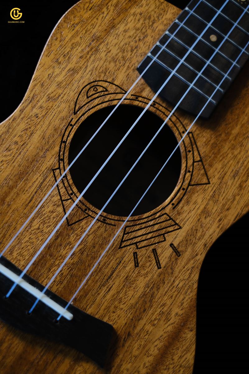 UKULELE TVT
