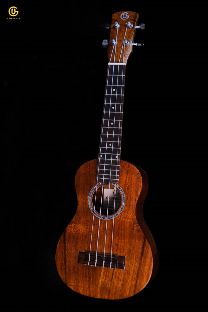 UKULELE HD14