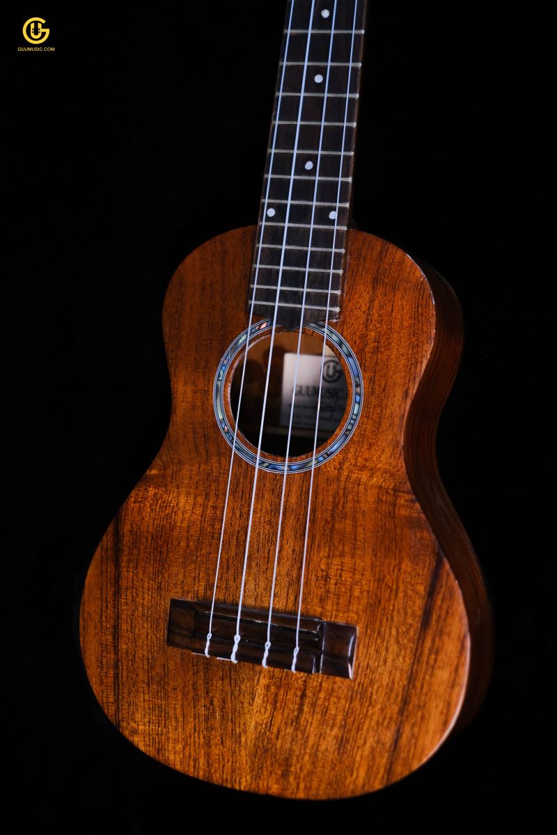 UKULELE HD14