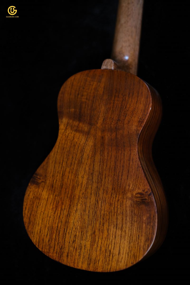 UKULELE HD14