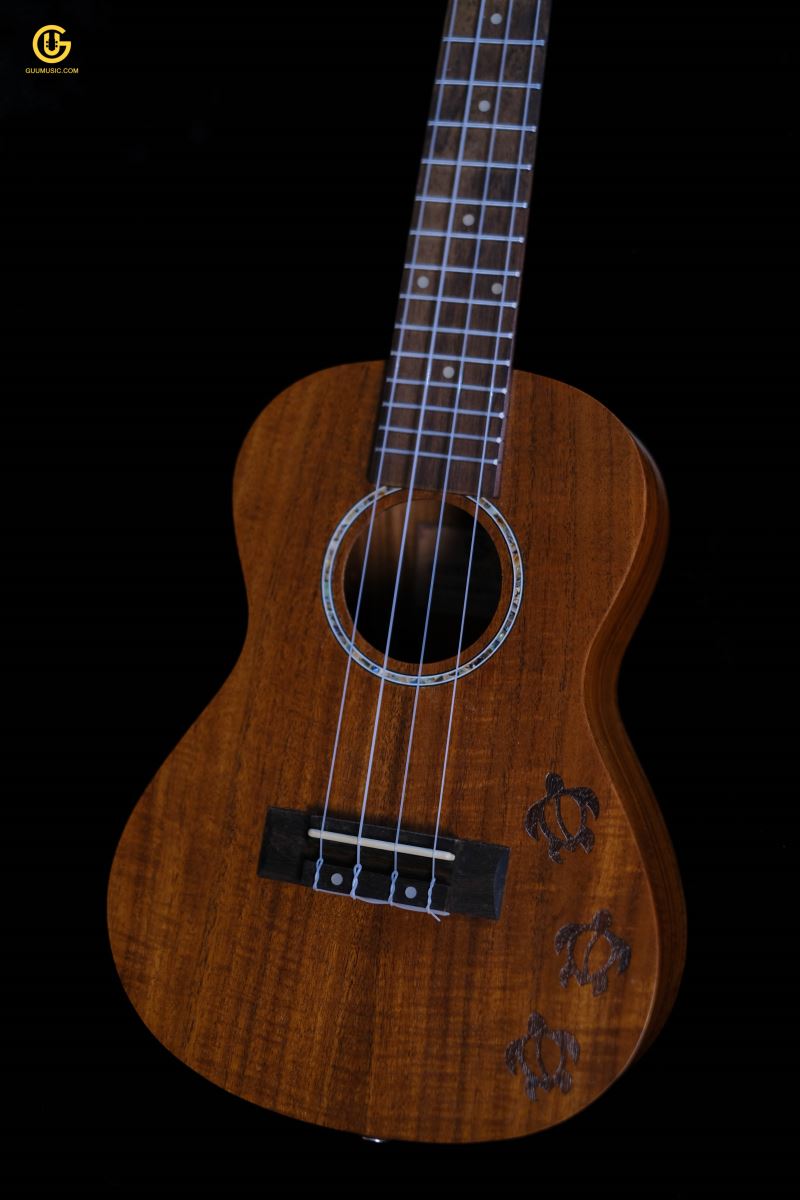 UKULELE R11