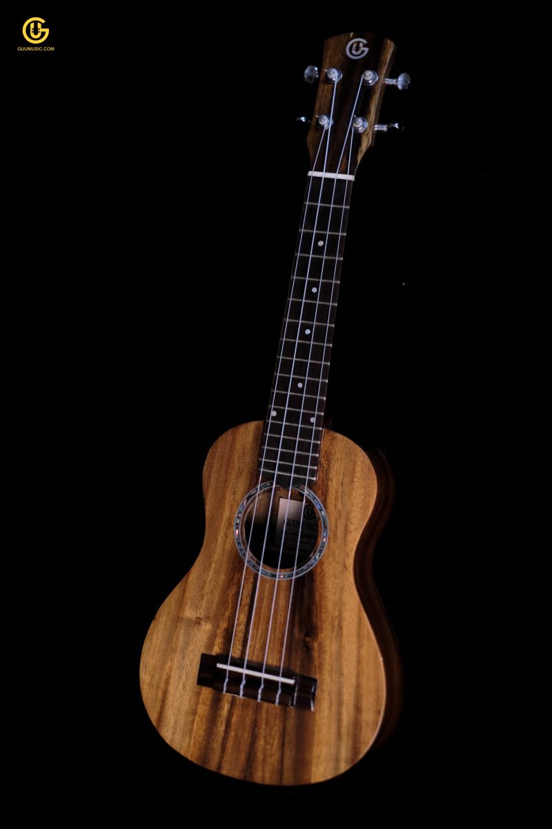 UKULELE FD14