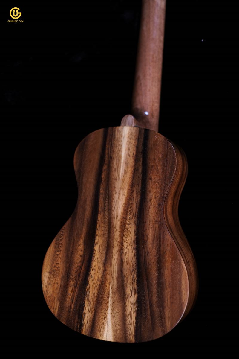 UKULELE FD14