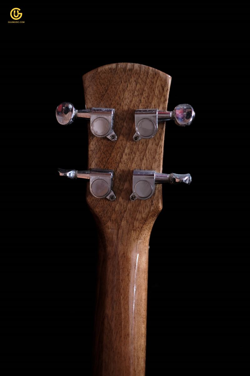 UKULELE FD14