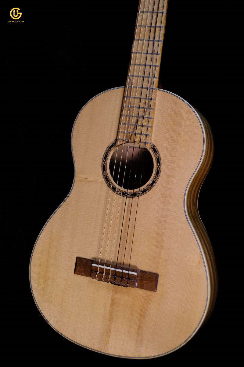 GUITAR CLASSIC MINI D200