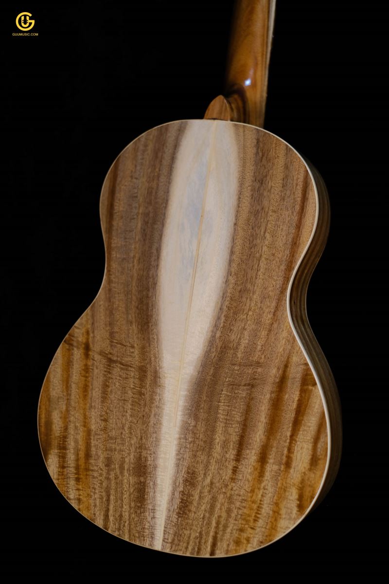 GUITAR CLASSIC MINI D200