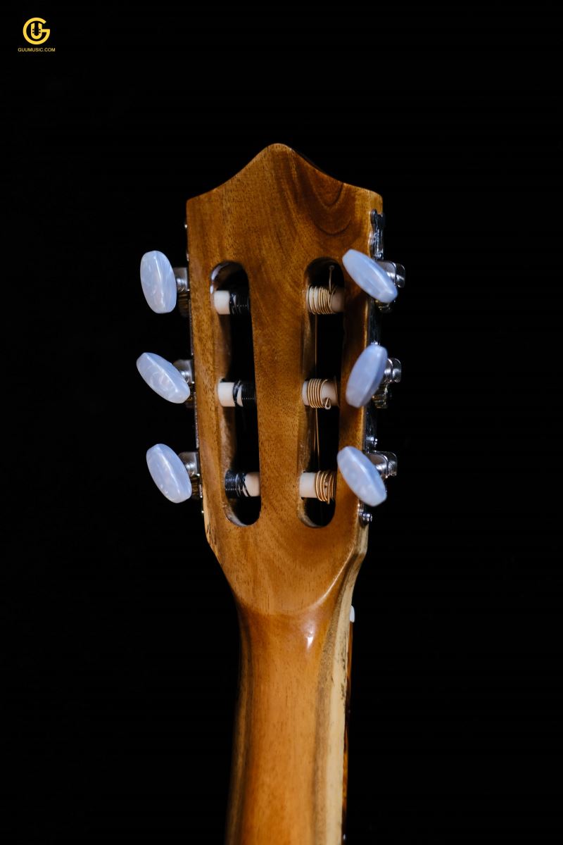 GUITAR CLASSIC MINI D200