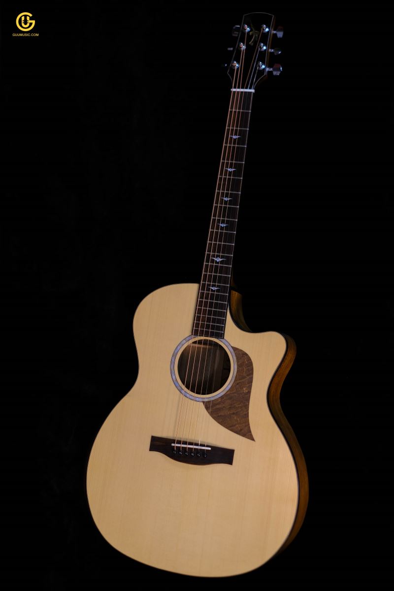 Thuận Guitar AT-02CX CUSTOM