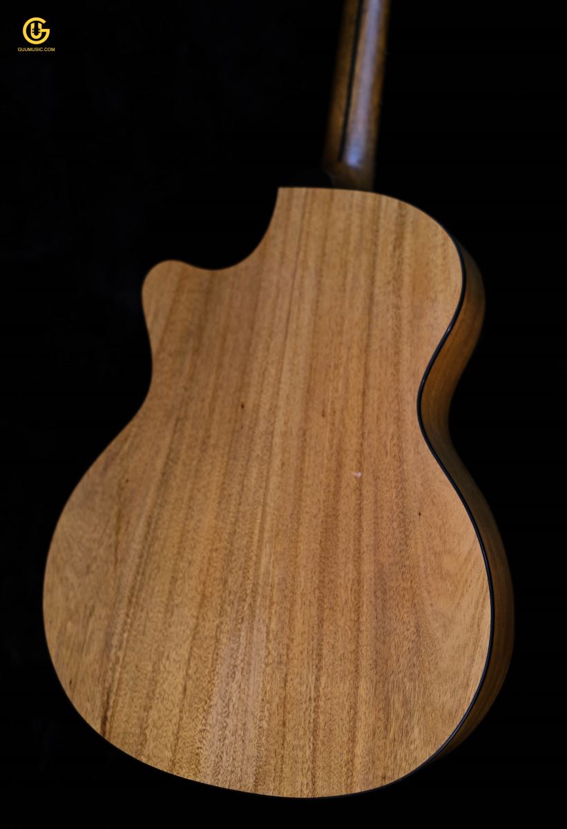 Thuận Guitar AT-02CX CUSTOM