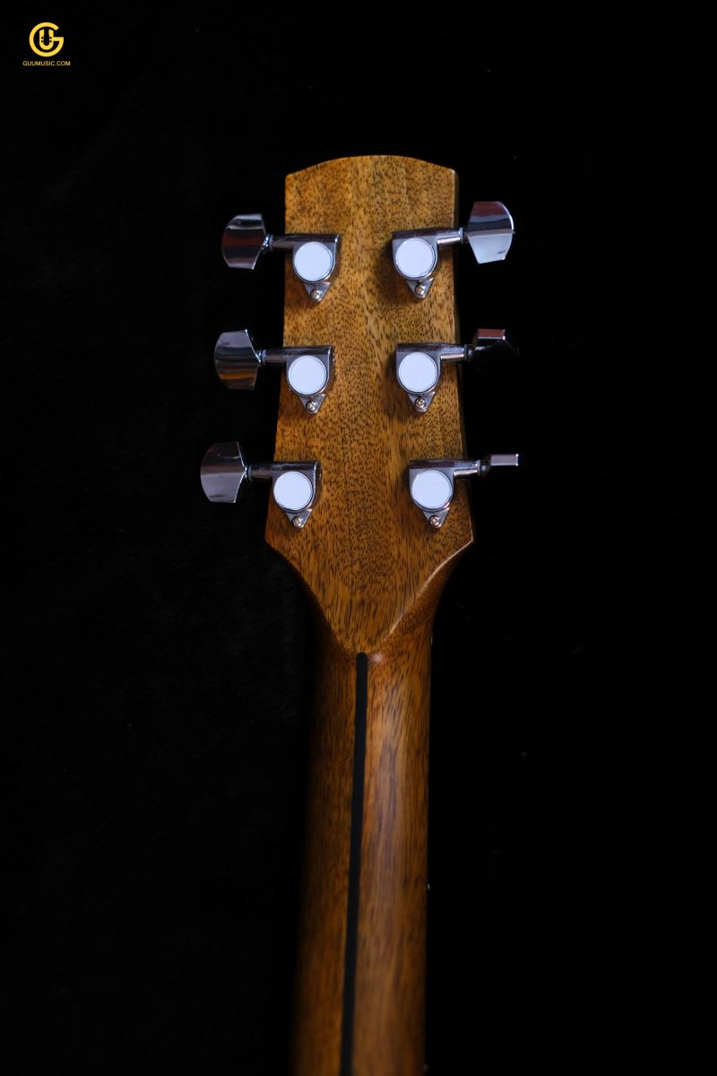 Thuận Guitar AT-02CX CUSTOM