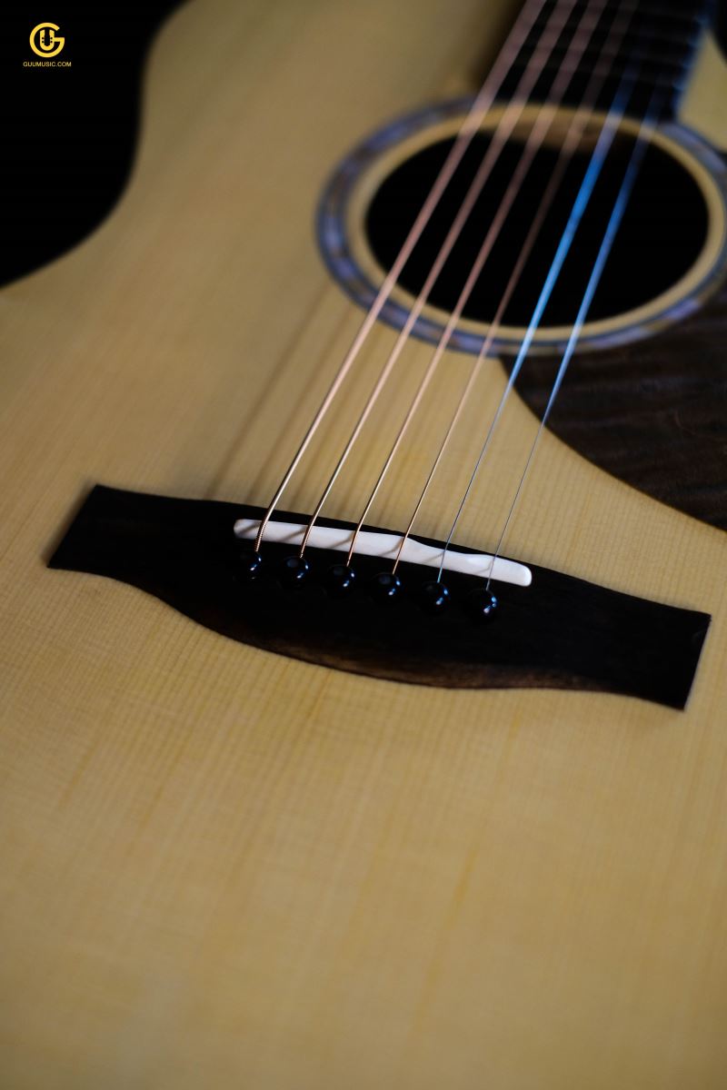 Thuận Guitar AT-02CX CUSTOM
