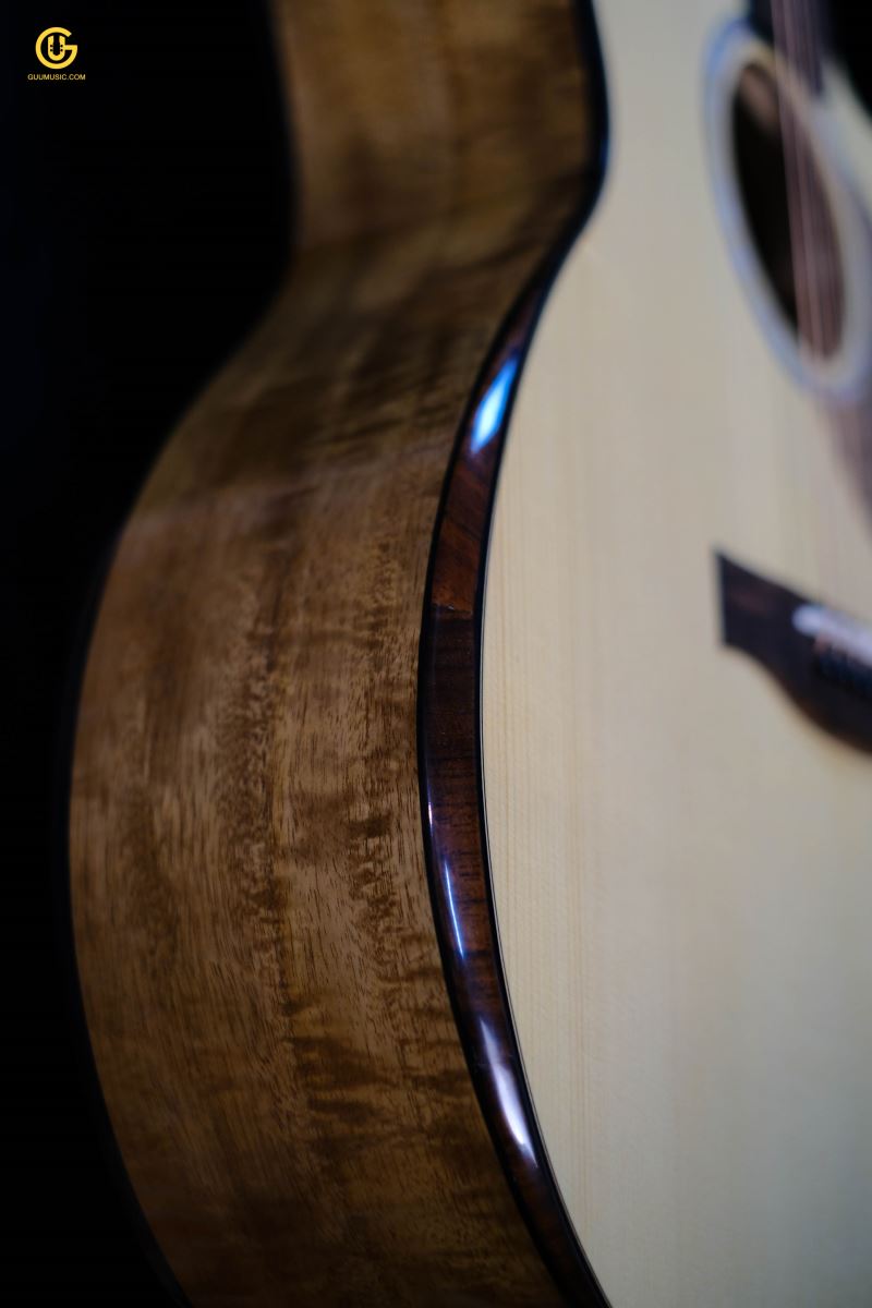 Thuận Guitar AT-02CX CUSTOM