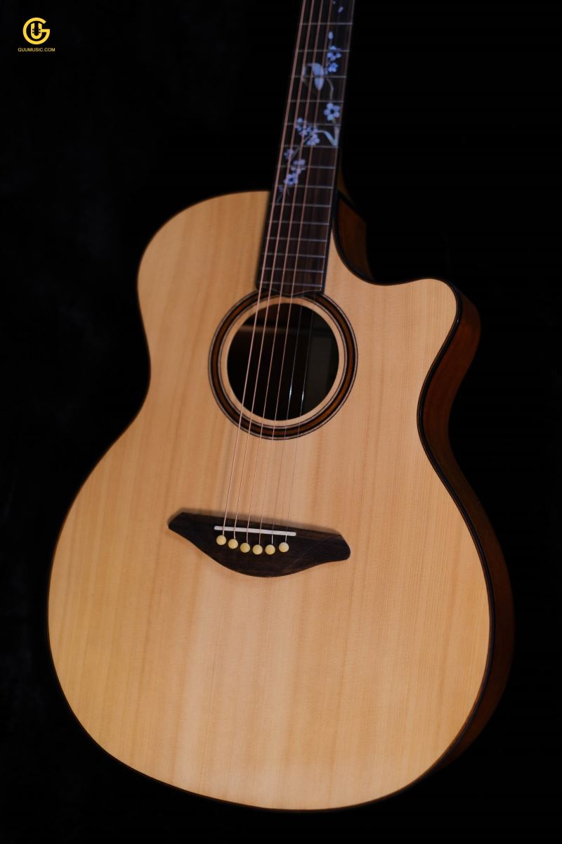 Guitar AT04cx Little Spring 