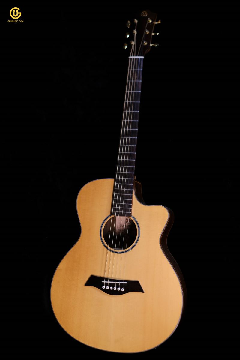Guitar Acoustic CAM800