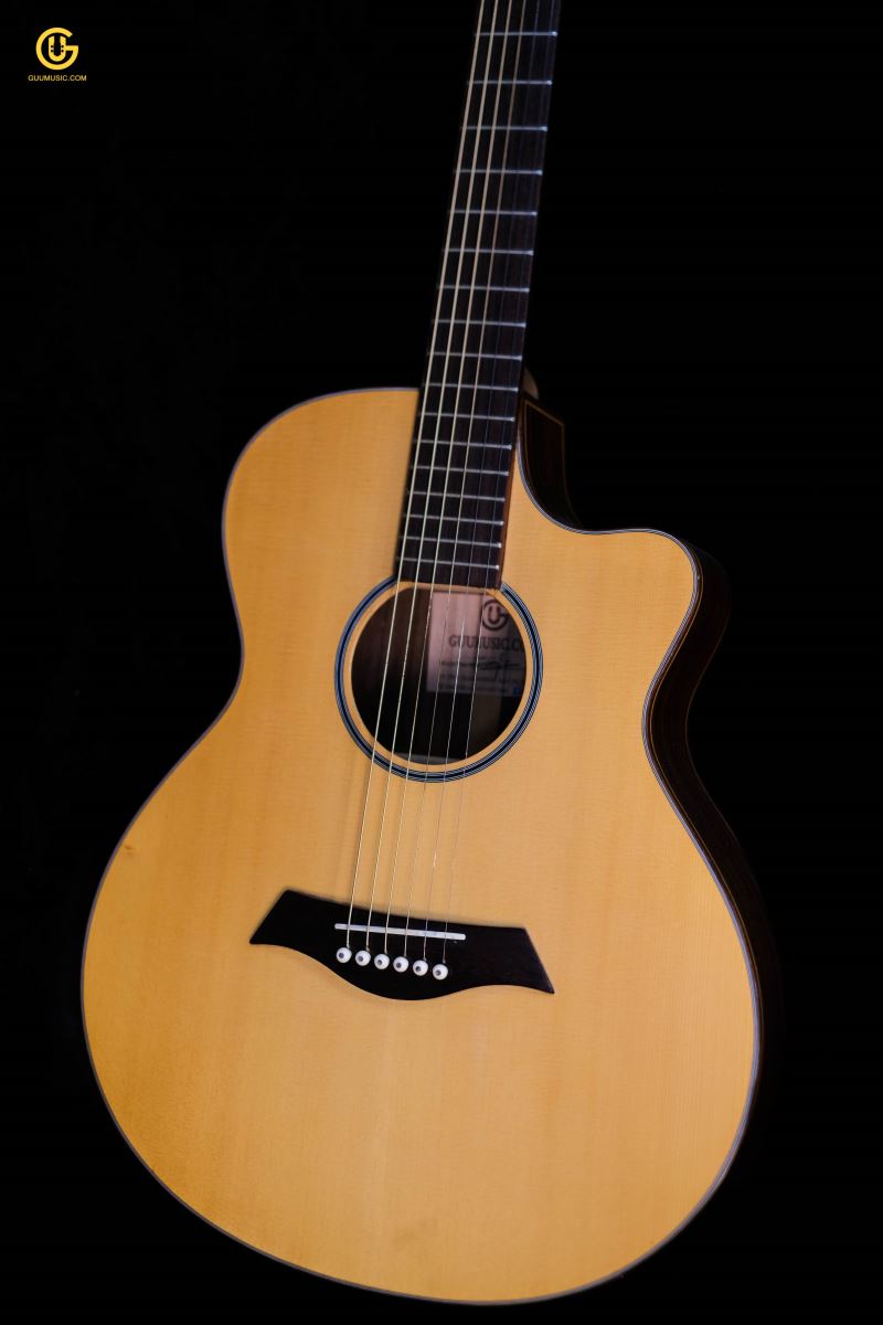Guitar Acoustic CAM800