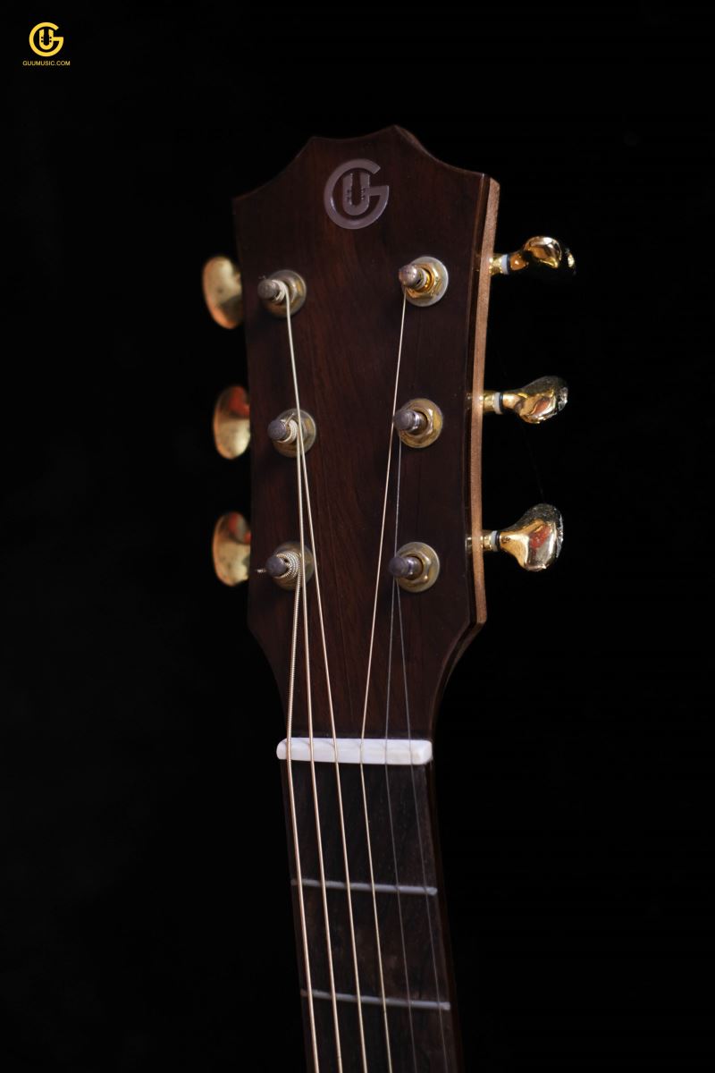 Guitar Acoustic CAM800