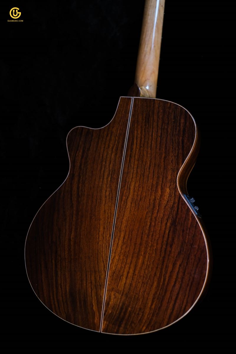 Guitar Acoustic CAM800