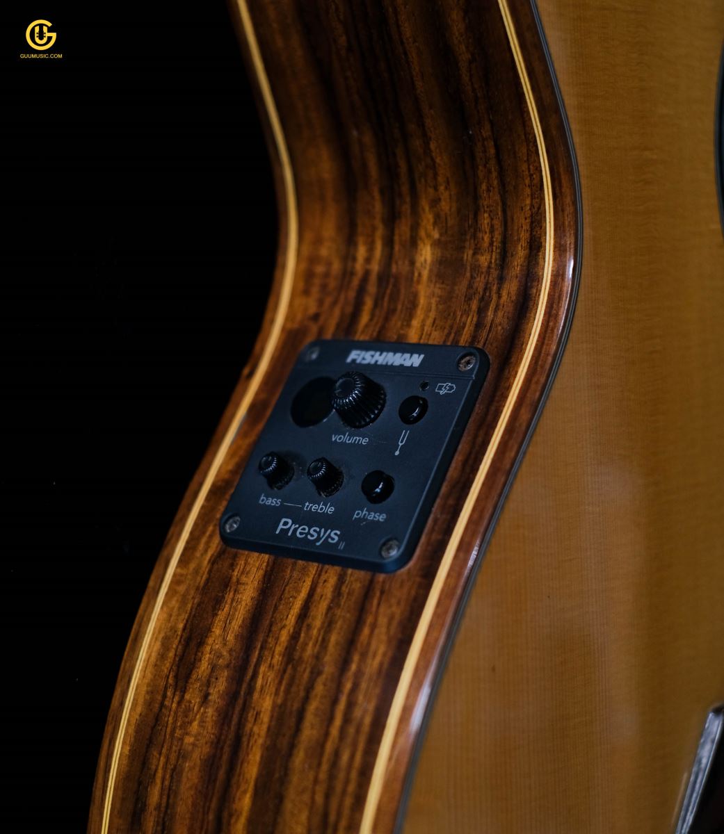 Guitar Acoustic CAM800