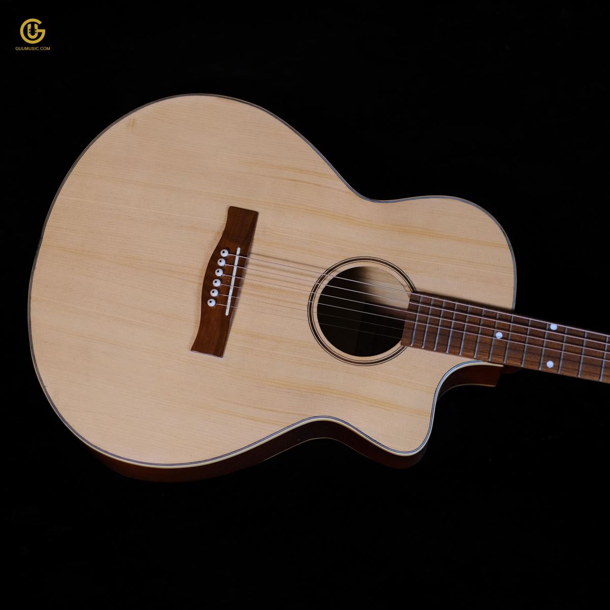 Acoustic Guu AC30