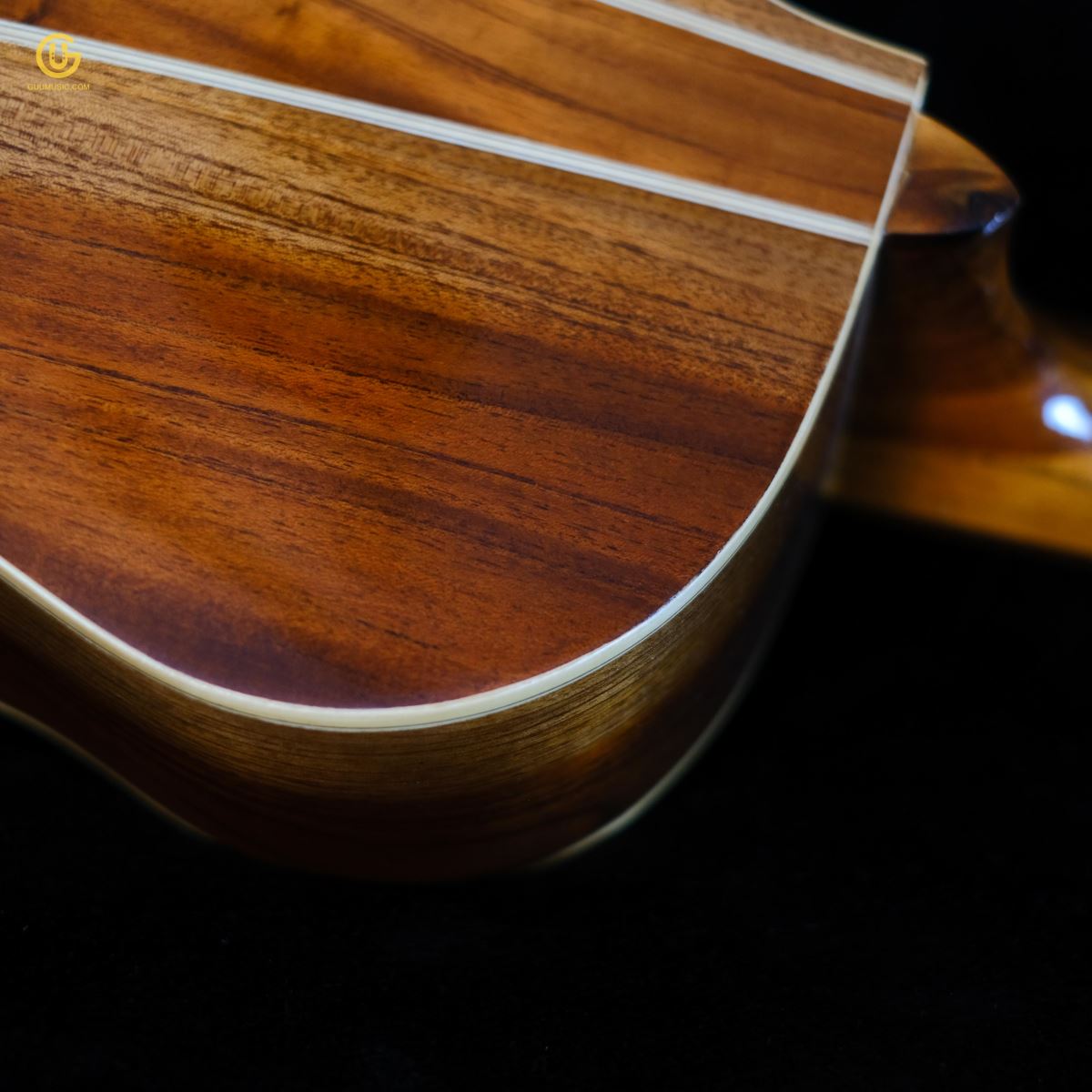 Acoustic GUU03