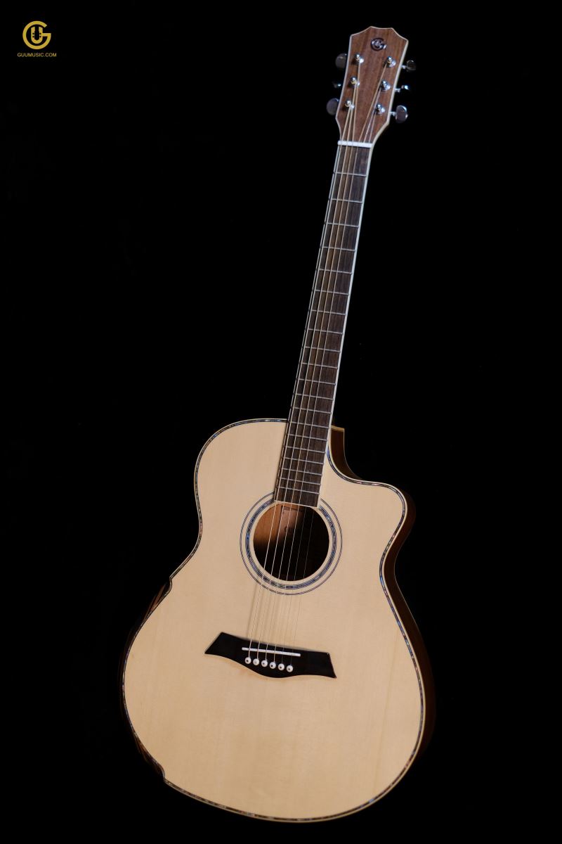 Guitar HKV-01