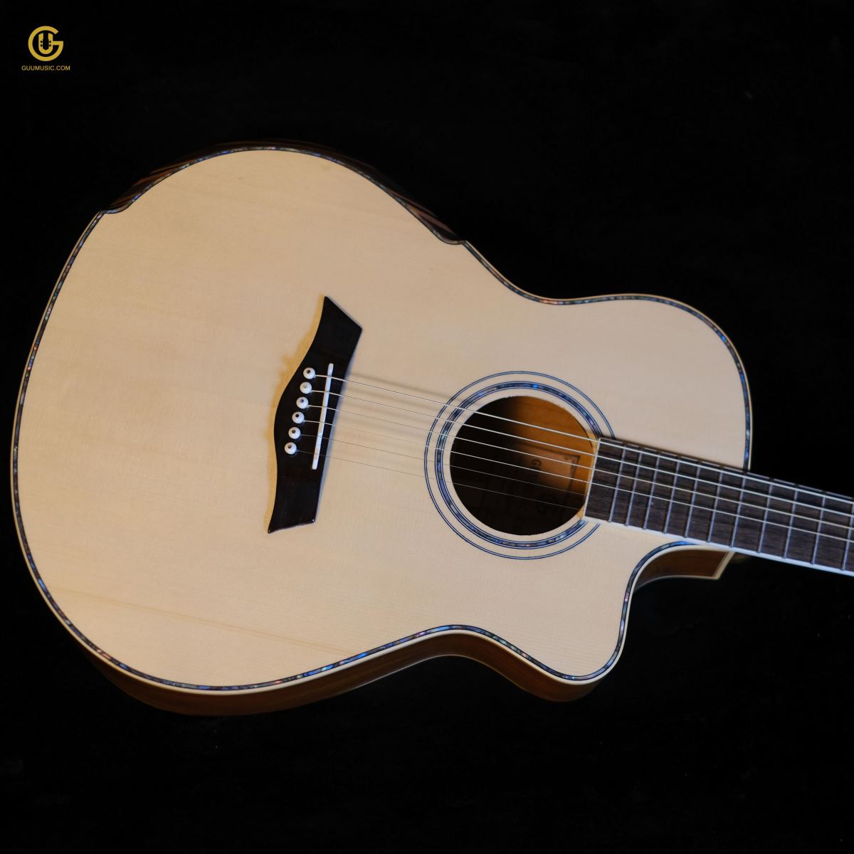 Guitar HKV-01