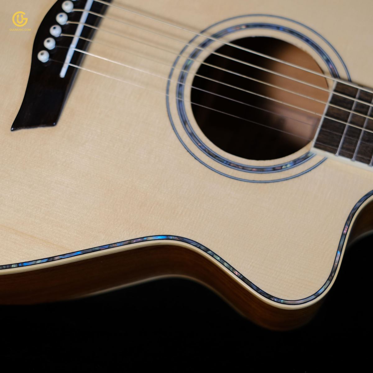 Guitar HKV-01
