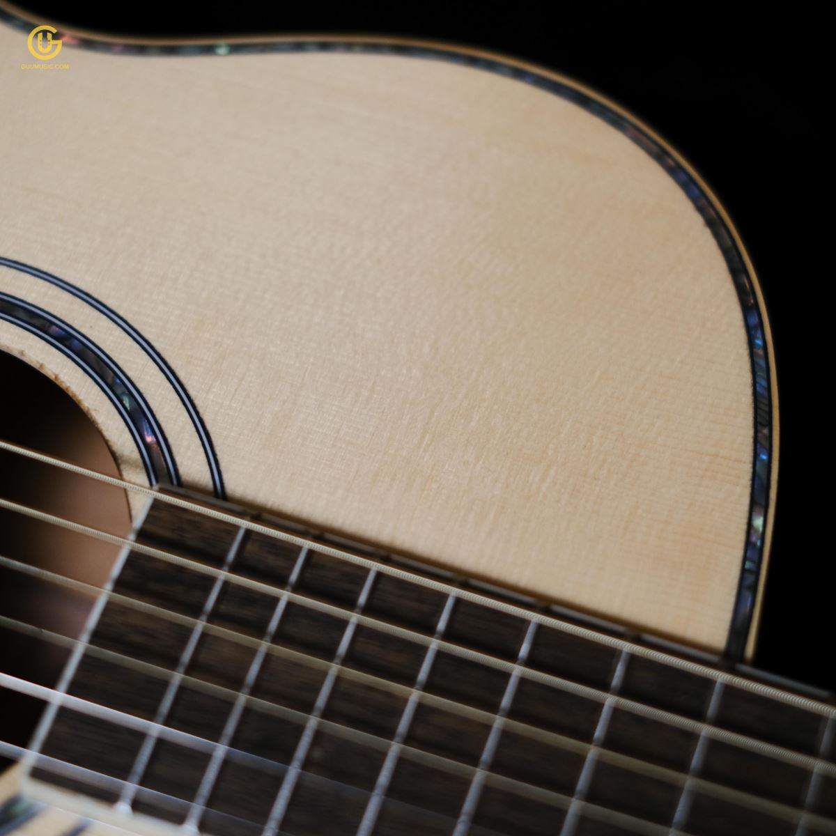 Guitar HKV-01
