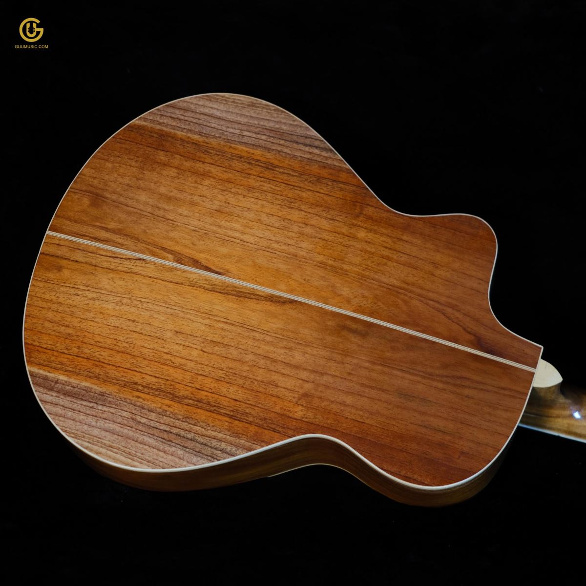 Guitar HKV-01
