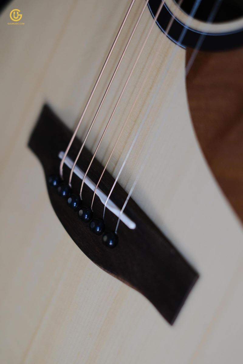 Thuận Guitar AT-03CLP