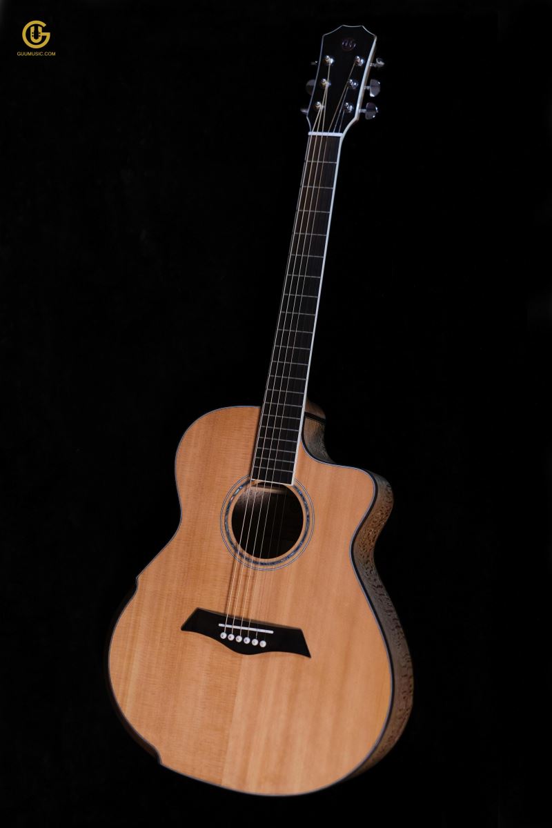 Guitar Acoustic SDSx