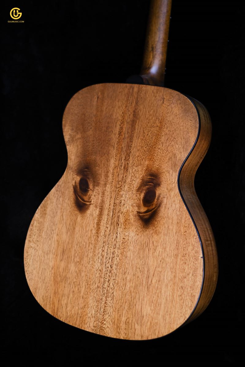 Thuận Guitar AT02-EDGE
