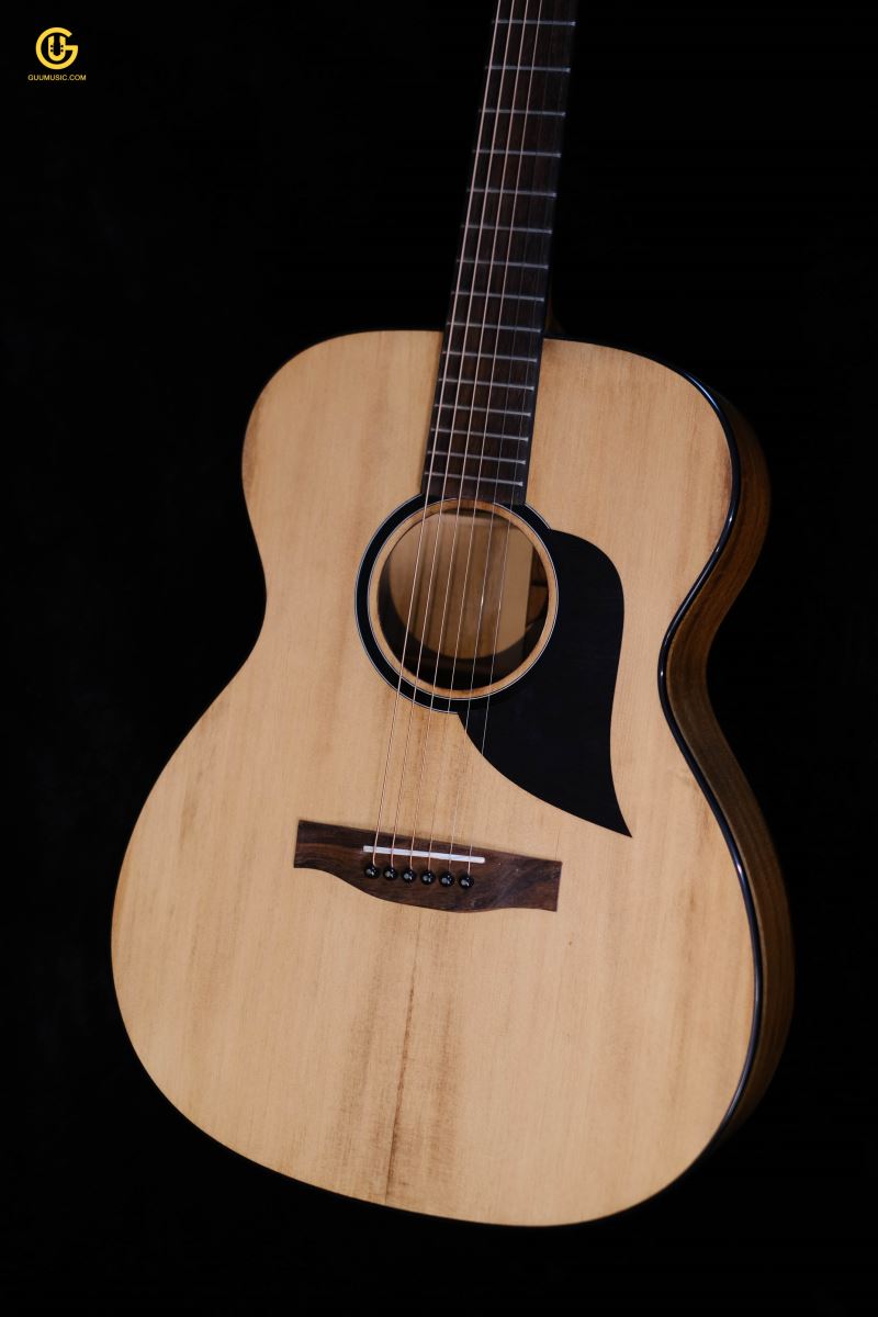Thuận Guitar AT02-EDGE