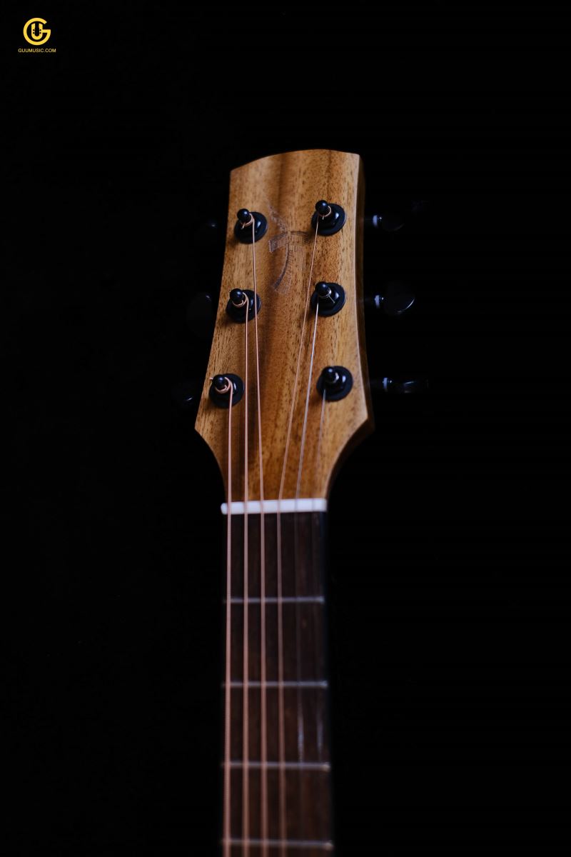 Thuận Guitar AT02-EDGE