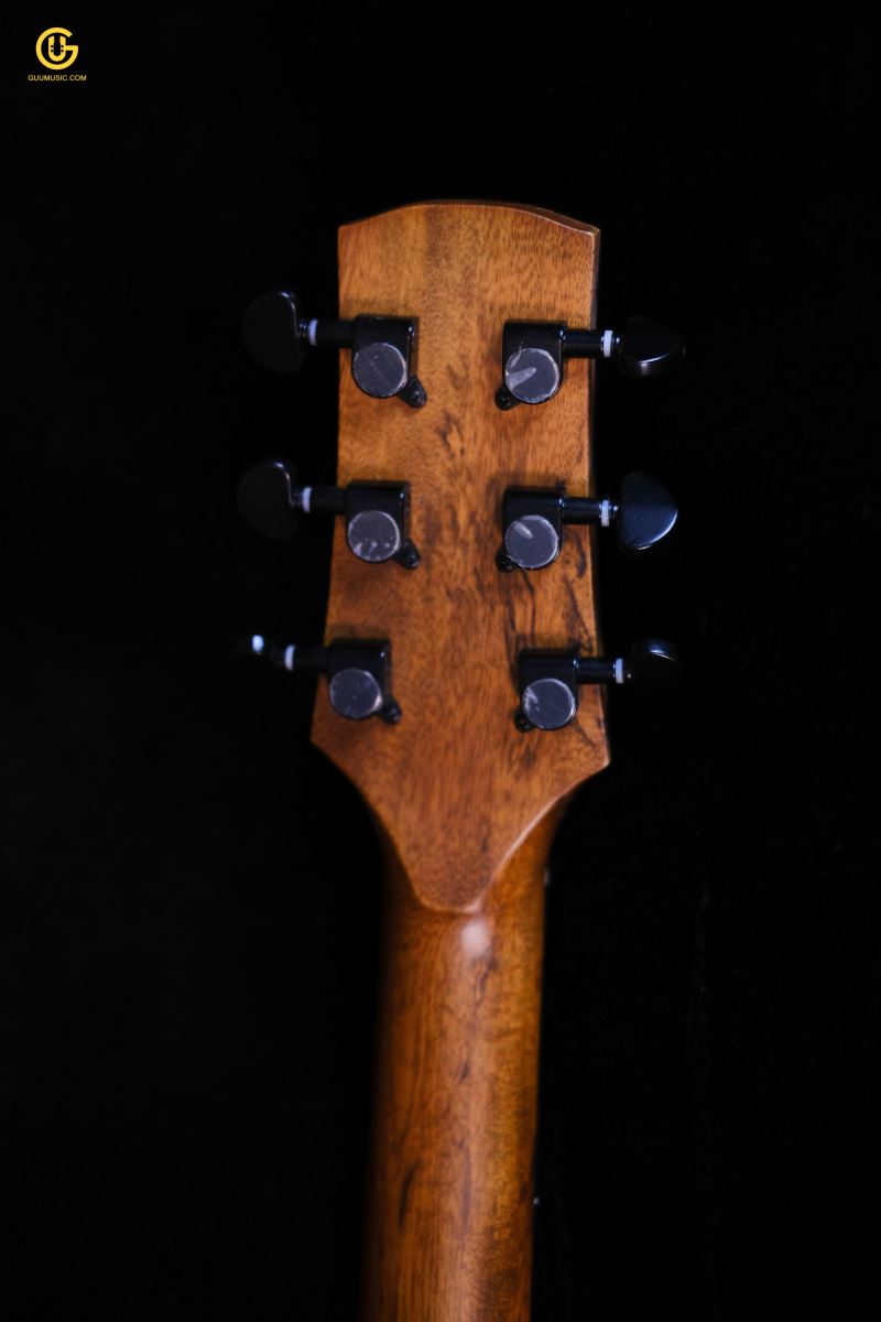 Thuận Guitar AT02-EDGE