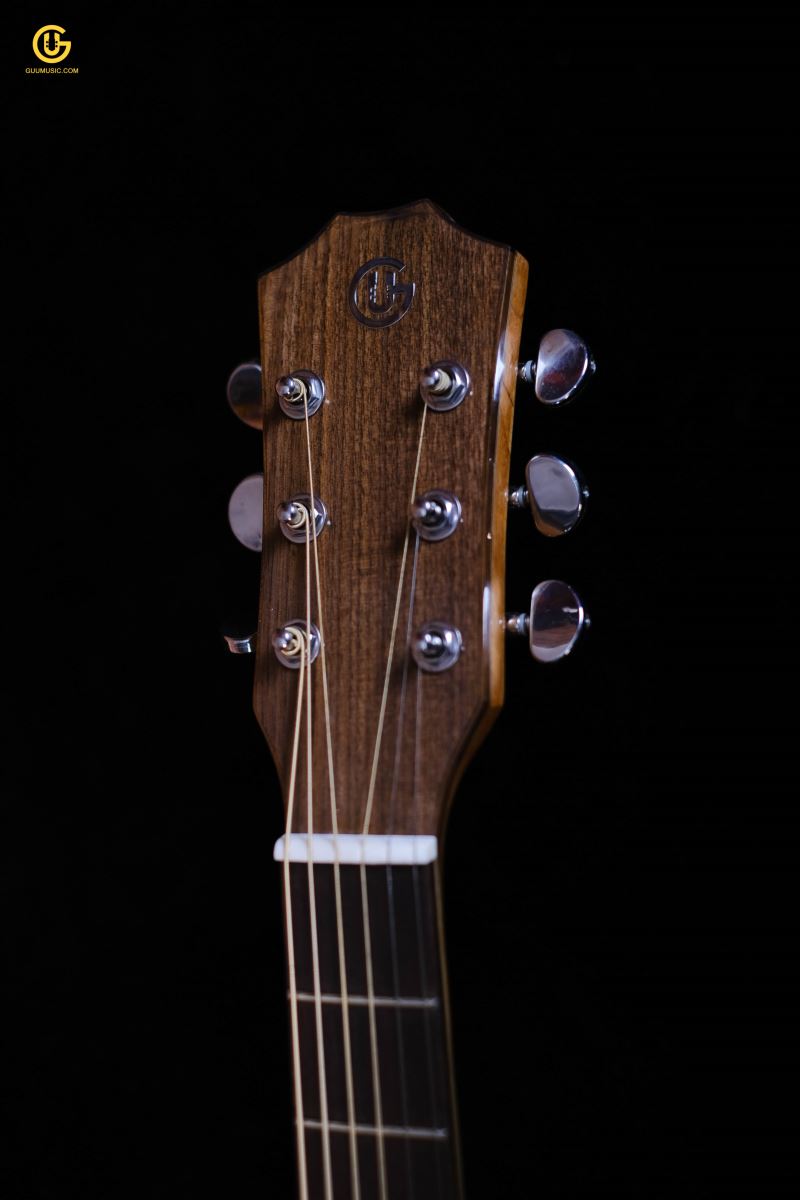 Guitar Acoustic SDS