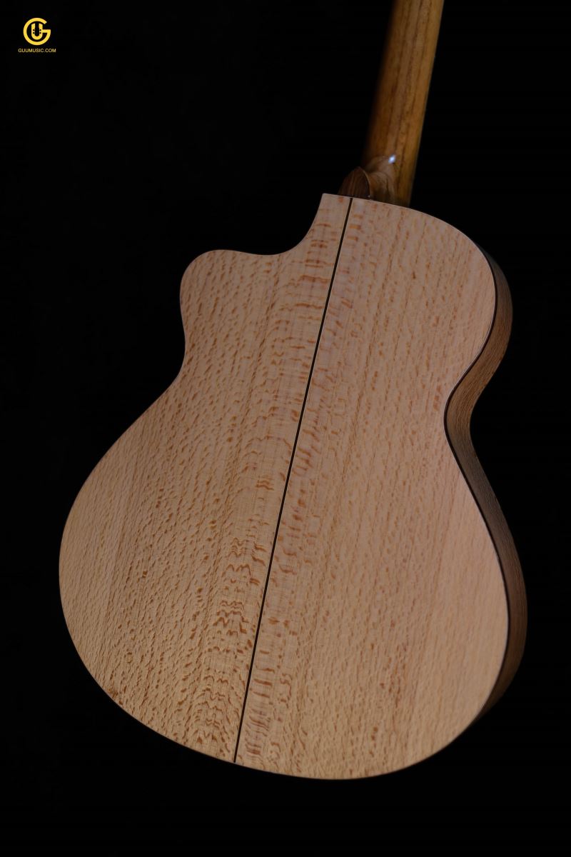 Guitar Acoustic SDS