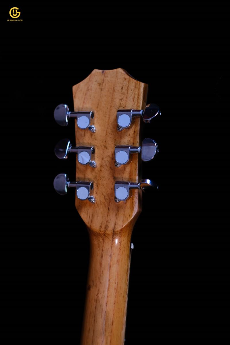 Guitar Acoustic SDS