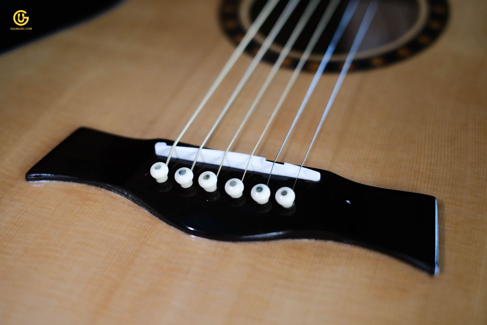 Guitar Acoustic SDS