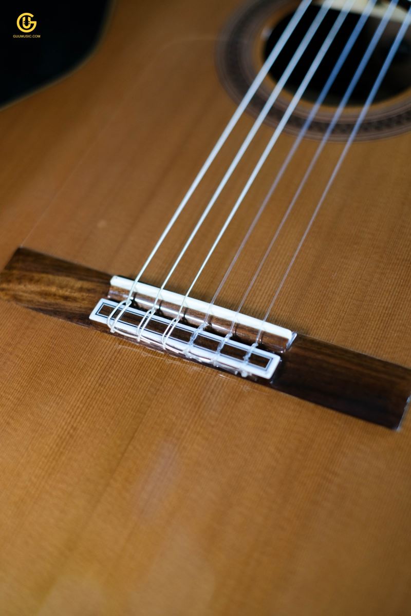 Classic Cordoba F7 Paco Flamenco
