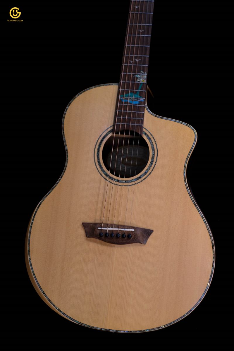 Acoustic WASHBURN BTSC56SCE