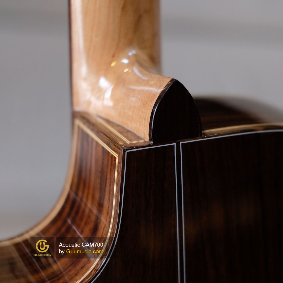 Guitar Acoustic CAM700