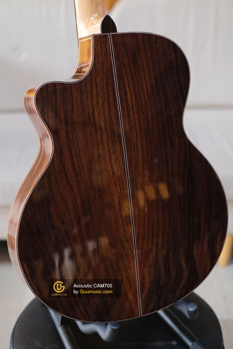 Guitar Acoustic CAM700